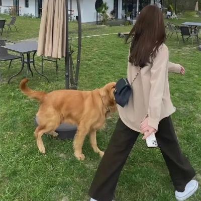 洛瑞太太和她的儿子